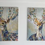 Terrasses De Triplex 242 