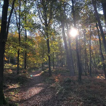 Terrasses De Triplex 242 