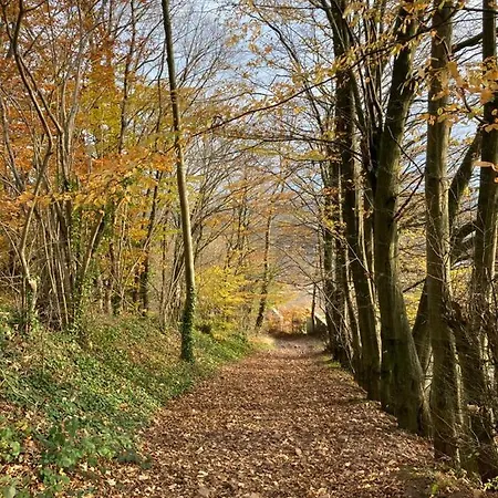 Terrasses De Triplex 242 