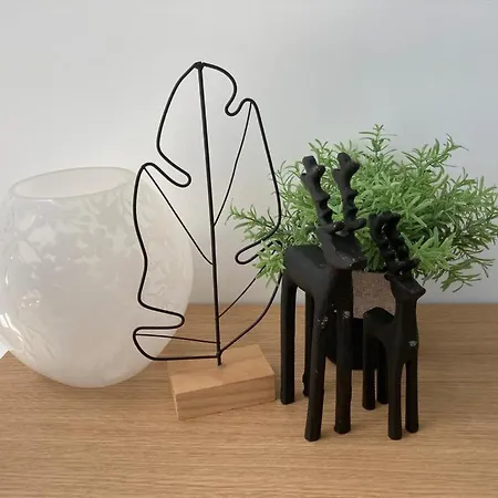 Apartmán Terrasses De Triplex 242 