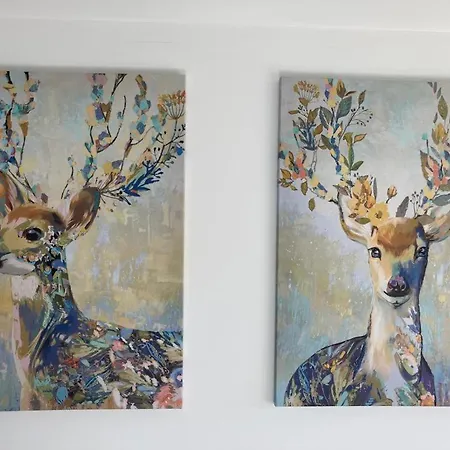 Terrasses De Triplex 242 