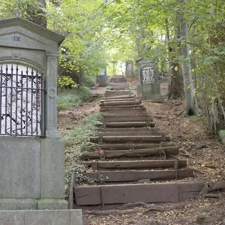 Terrasses De Triplex 242 