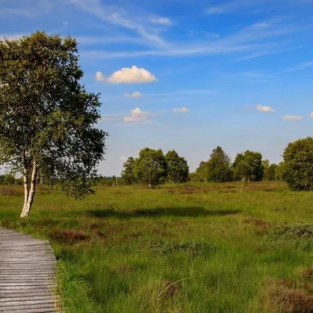 Terrasses De Triplex 242 